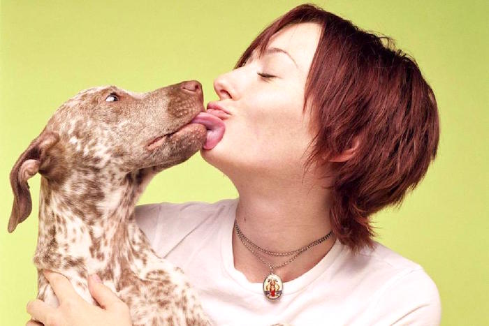 ¿Son los besos de perro malo para su salud?