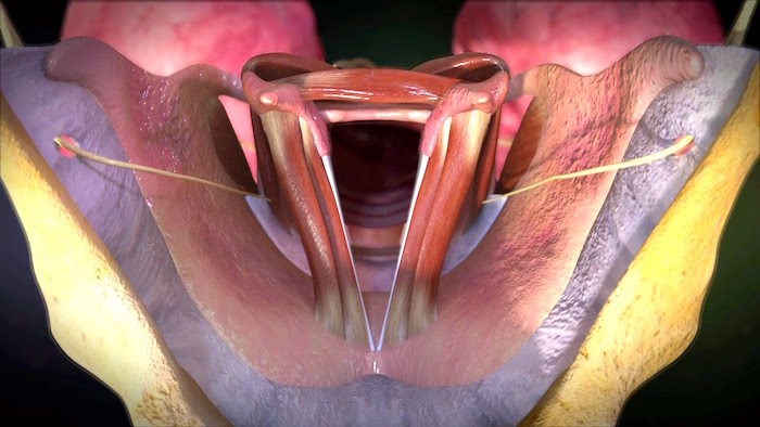 Cirugia para la paralisis de las cuerdas vocales