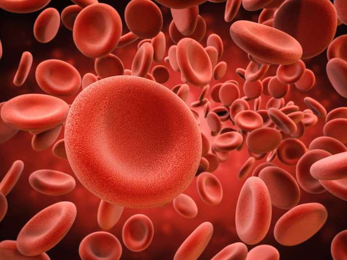 Prevención de la anemia falciforme