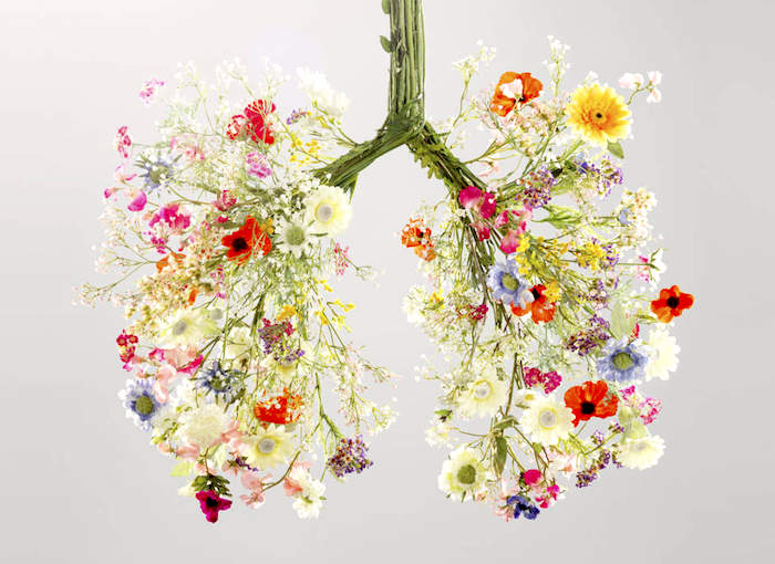 Los mejores suplementos para la salud pulmonar