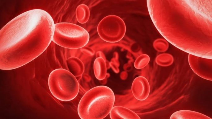 La anemia por deficiencia de hierro