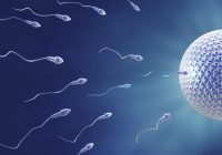 Aumentar la cantidad de espermatozoides y mejorar la calidad del esperma