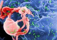 Algunas personas infectadas con el VIH son resistentes al virus. Ahora los científicos piensan que podrían saber el porqué