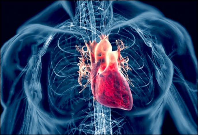 La evidencia de que las estatinas estimula la arteriosclerosis y la insuficiencia cardíaca