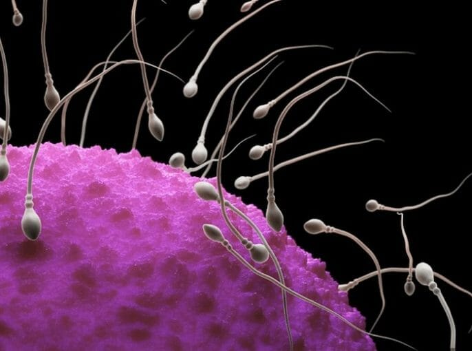 6 Razones sorprendentes para la infertilidad masculina
