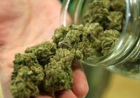 Beneficios y peligros de la marihuana médica: ¿deberíamos legalizarlo?