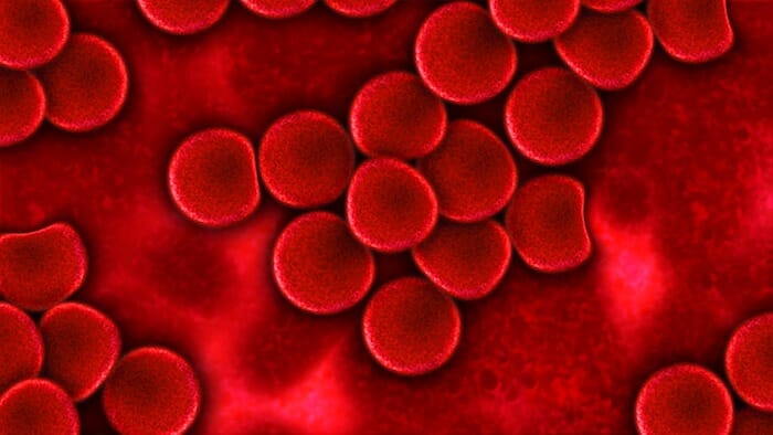 Niveles altos de hemoglobina: diecisiete razones por las que aumenta la producción de hemoglobina