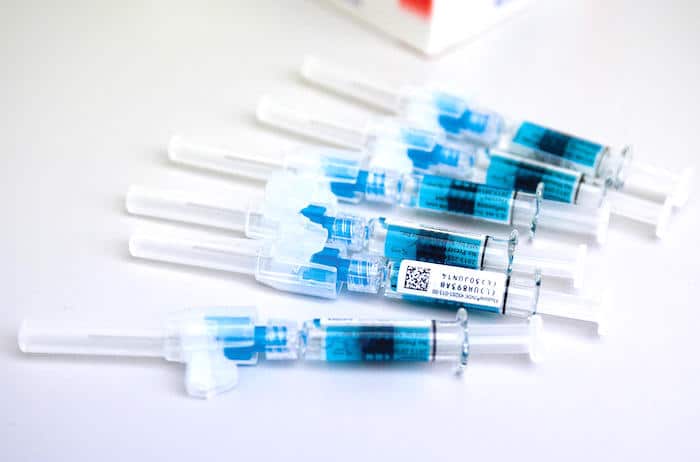 Gripe porcina: tratamiento y vacuna de prevención