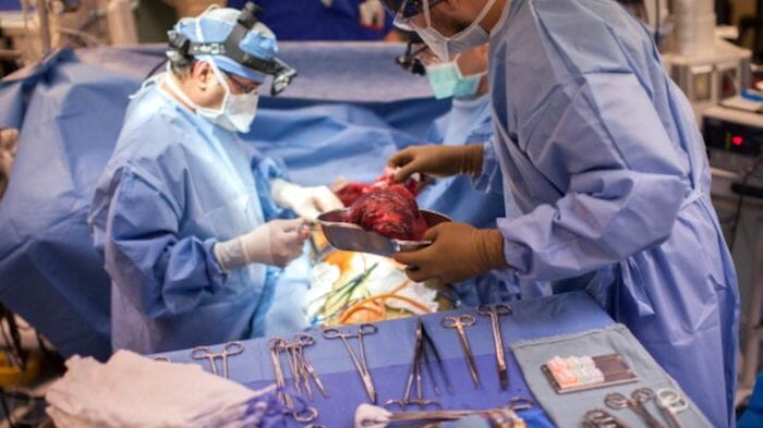 Órganos que no pudieron ser transplantados antes son ahora utilizables gracias a esta medicina que salva vidas