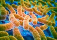 La nueva ruta de adquisición de resistencia a los antibióticos en las bacterias es la más potente hasta la fecha