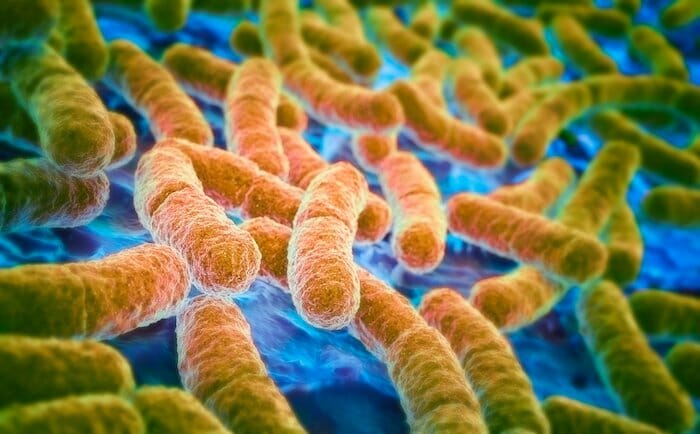 La nueva ruta de adquisición de resistencia a los antibióticos en las bacterias es la más potente hasta la fecha