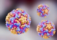 La investigación sugiere que las temperaturas por debajo de 98.6 ° F pueden permitir que los rinovirus se repliquen de manera más eficiente