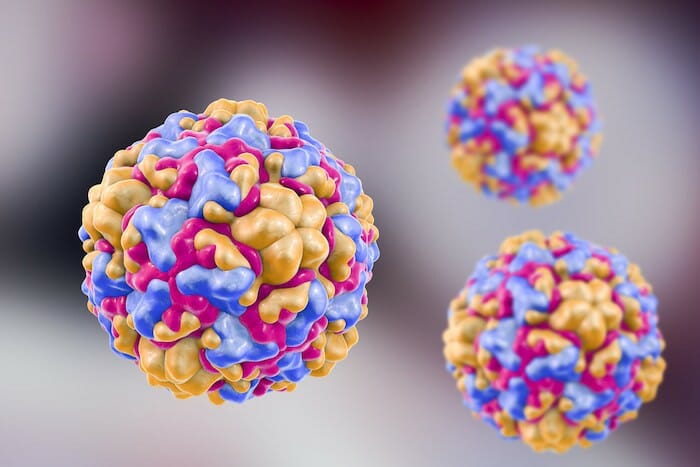 La investigación sugiere que las temperaturas por debajo de 98.6 ° F pueden permitir que los rinovirus se repliquen de manera más eficiente