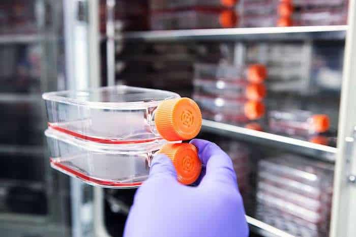 A través de la investigación con células madre, los científicos esperan descubrir curas para enfermedades que actualmente son incurables